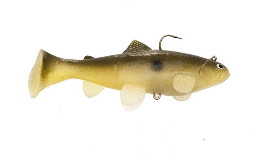 0002021_castaic-sbt-swimbait_1000.jpeg