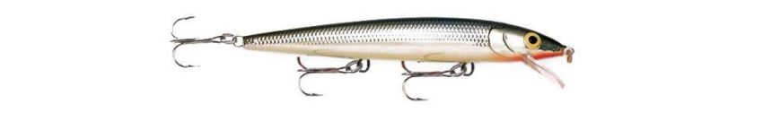 0004910_rapala-husky-jerk_1000.jpeg