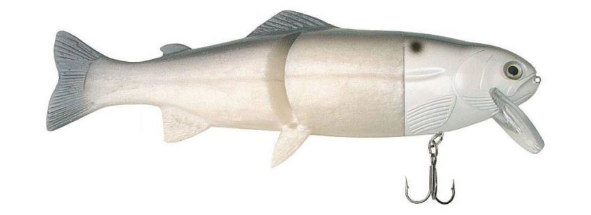 0005126_castaic-quick-snap-swimbait_1000.jpeg