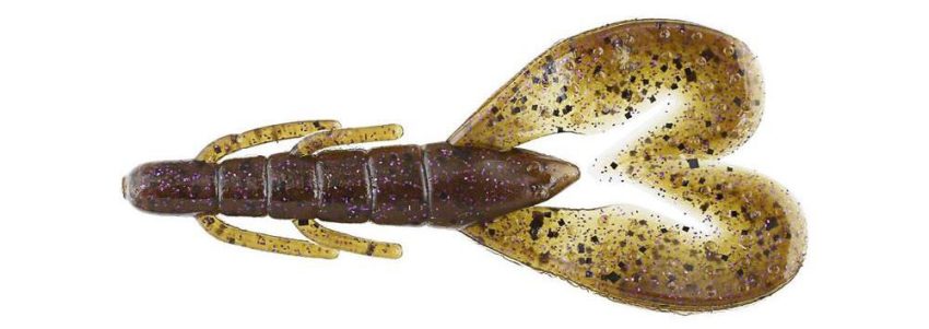 0022343_zoom-super-speed-craw_1000.jpeg