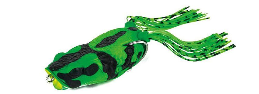 0035425_molix-pop-frog_1000.jpeg