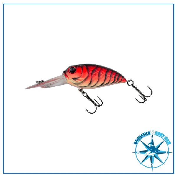 MOLIX Sculpo