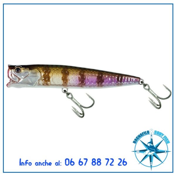Molix Popper 85T   8.5cm 11.5g