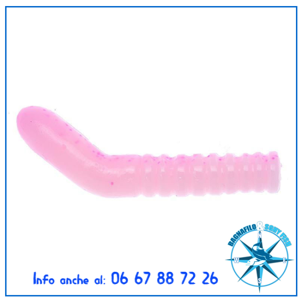 Game By Laboratorio Bioillogica Insetto