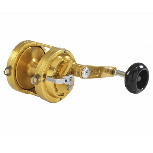 ITALCANNA GLADIATOR CUB 20 oro