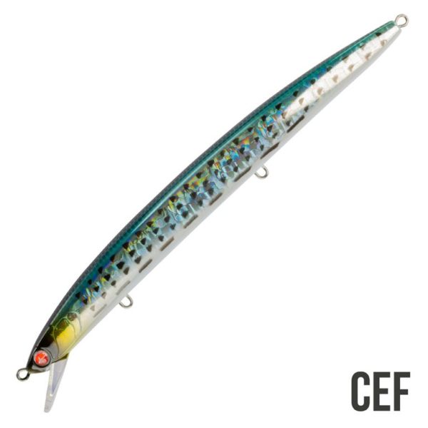 Seaspin Mommotti 160
