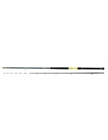 Daiwa Tanacom Boat BI  3.50m 1,5kg