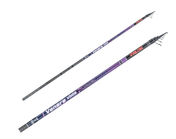 Home 19 Falcon Venere Viola